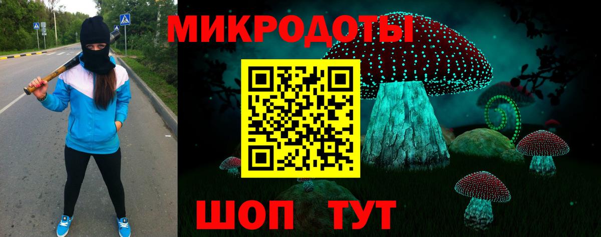 Псилоцибиновые грибы прущие грибы Йошкар-Ола