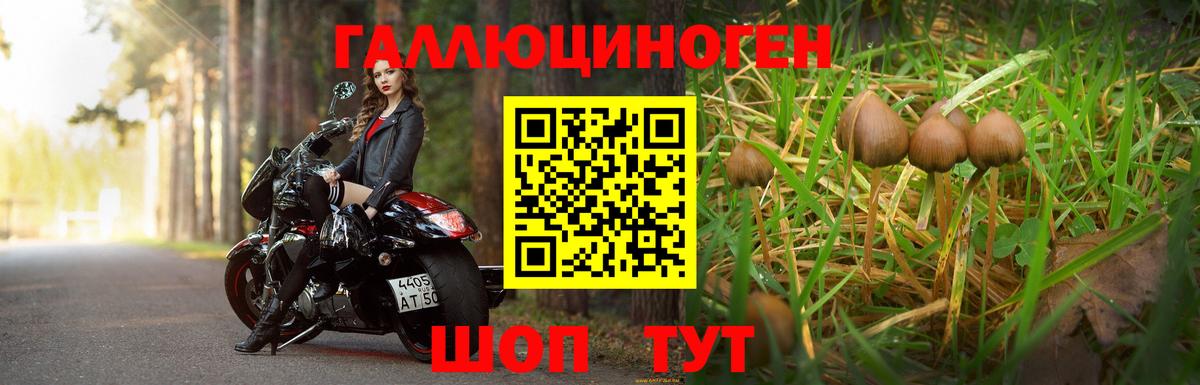 Йошкар-Ола  Галлюциногенные грибы мицелий  Вход с VPN 